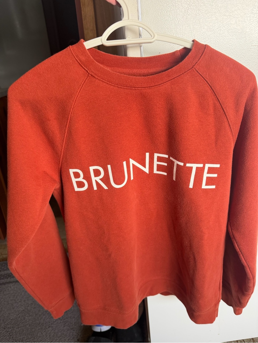 Brunette The Label Rust Red Crewneck Sweatshirt
